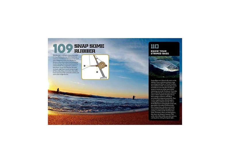 The Essential Fishing Handbook- 179 Essential Hints by Joe Cermele