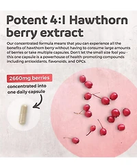 Healths Harmony Hawthorn Berry Capsules, Cardiovascular and Immune Health, 4:1 Extract, Health's Harmony, 120ct