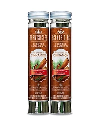 National Tree Company Scentsicles, Scented Ornaments, 6 Count Bottles, 2 Dashes of Cinnamon, Fragrance-Infused Paper Sticks, 2 Pack Set