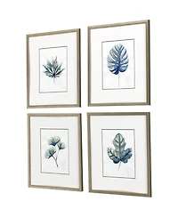 Plant Drawings Framed Art, Set of 4