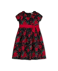 Hope & Henry Big Girls Short Sleeve Ruffle Collar Party Dress with Bow