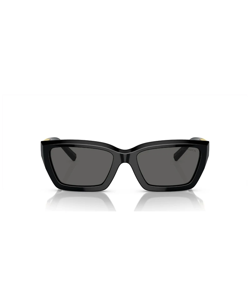 Tiffany & Co. Women's Sunglasses TF4213