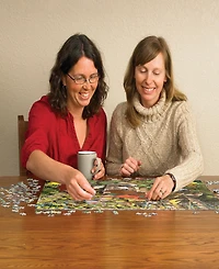 Cobble Hill- Bird Cabin Puzzle