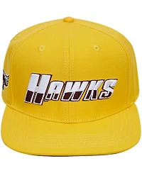 Men's Pro Standard Gold Maryland Eastern Shore Hawks Evergreen Hawks Snapback Hat