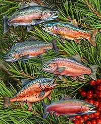 Designocracy Holiday Wooden Clip-On Ornaments Wild Salmon Tales Set of 6 G. DeBrekht