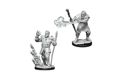 Dungeons and Dragons Male Firbolg Druid Nolzur's Miniatures