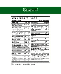 Emerald Labs Men's 1 Daily Multi - Complete with Coenzymated B's, Methylated Folic Acid, Albion Chelated Minerals, Extra Lycopene and Zinc