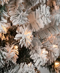 National Tree Company First Traditions 6' Acacia Medium Flocked Tree with Clear Lights