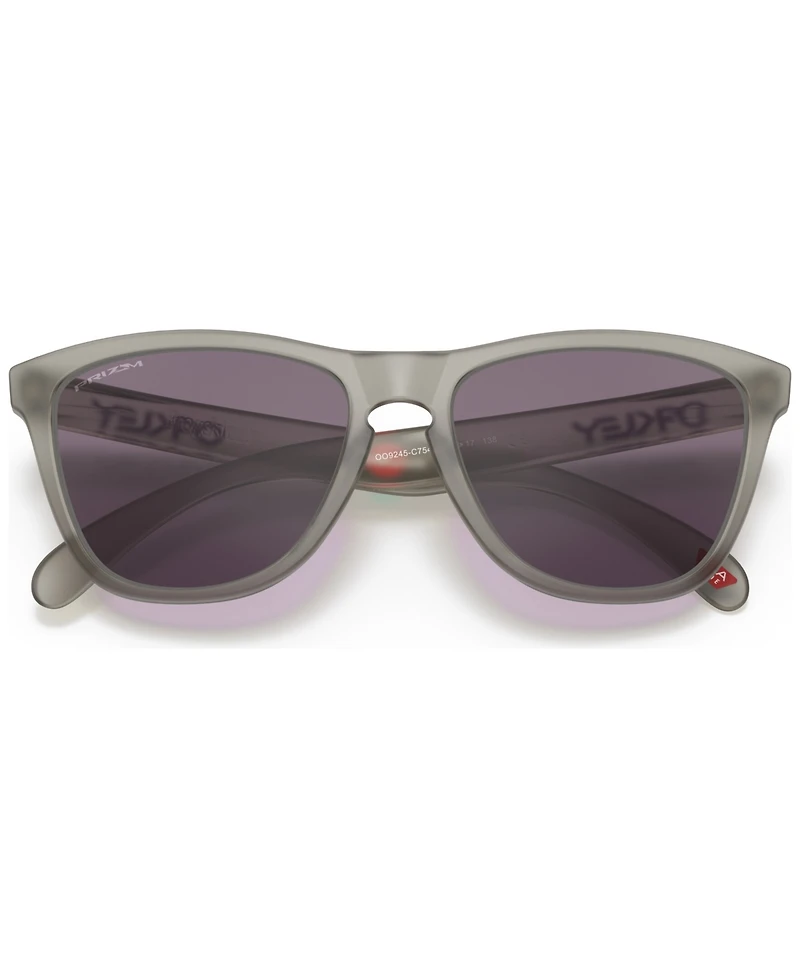 Oakley Men's Frogskins (Low Bridge Fit) Hachi Collection Sunglasses, OO9245