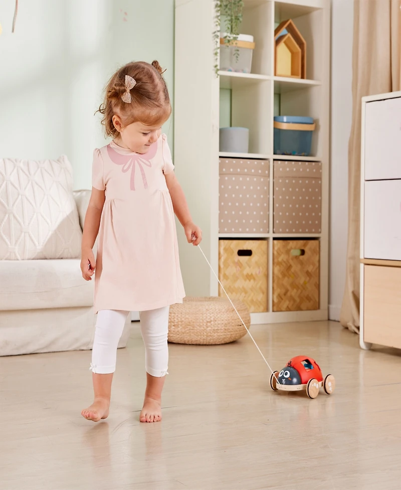 Hape Shape Sorter Pull-Along Ladybug Toddler Toy