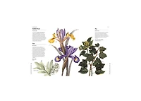 Flowers and Their Meanings- The Secret Language and History of Over 600 Blooms (A Flower Dictionary) by Karen Azoulay
