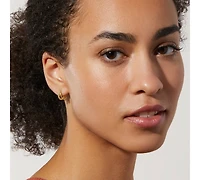 Ana Luisa Small Hoop Earrings - Jesse
