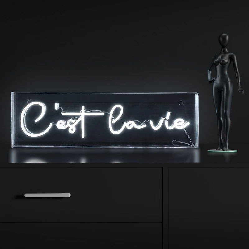 Jonathan Y Cest La Vie Contemporary Glam Acrylic Box Usb Operated Led Neon Light