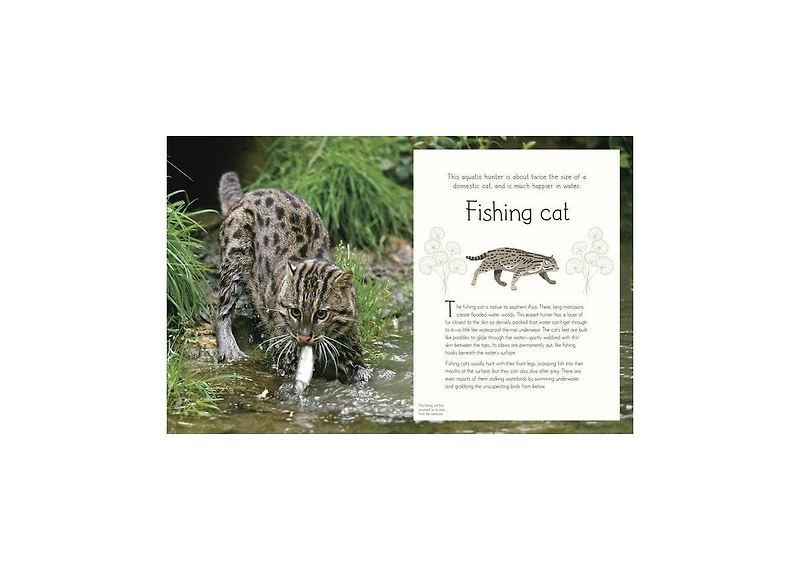 An Anthology of Aquatic Life by Sam Hume