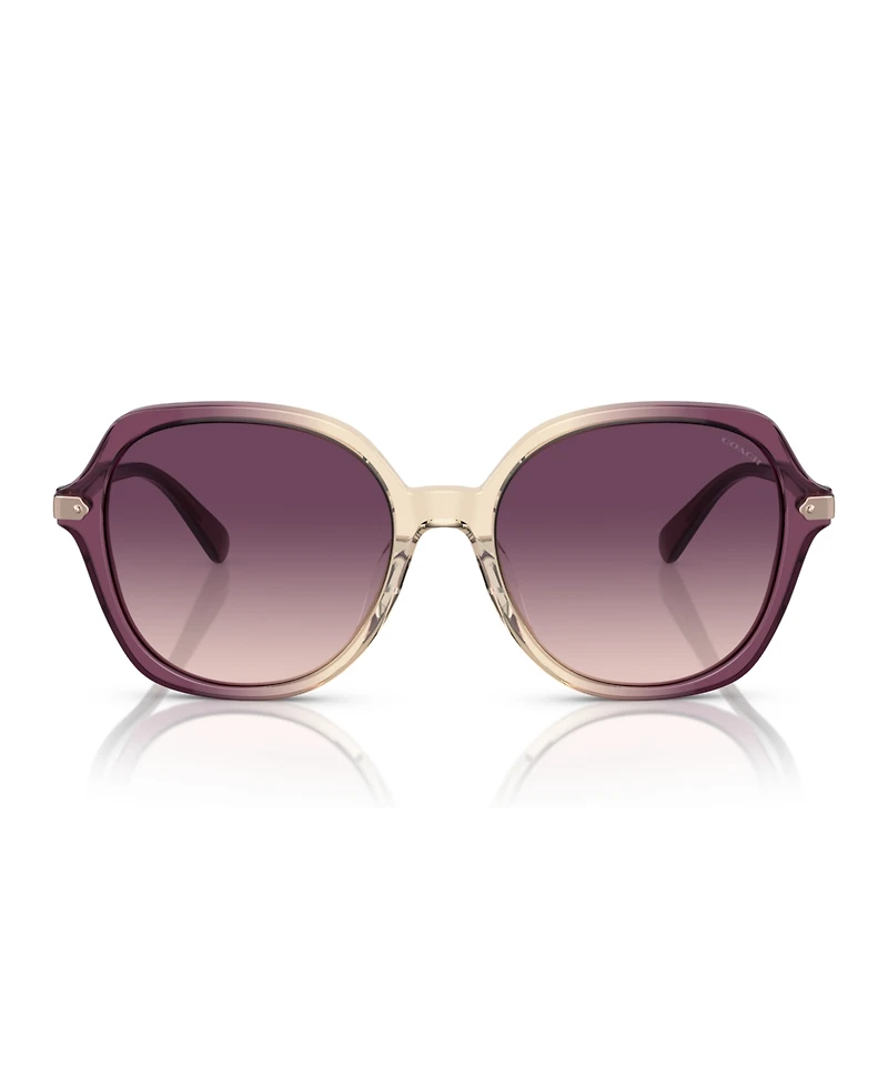 Coach Women's CL925 Sunglasses, Gradient HC8377U
