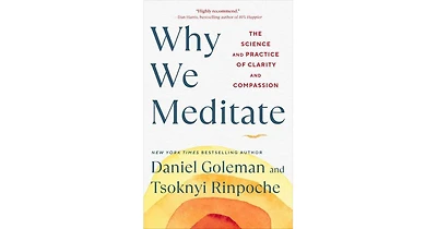 Why We Meditate- The Science and Practice of Clarity and Compassion by Daniel Goleman