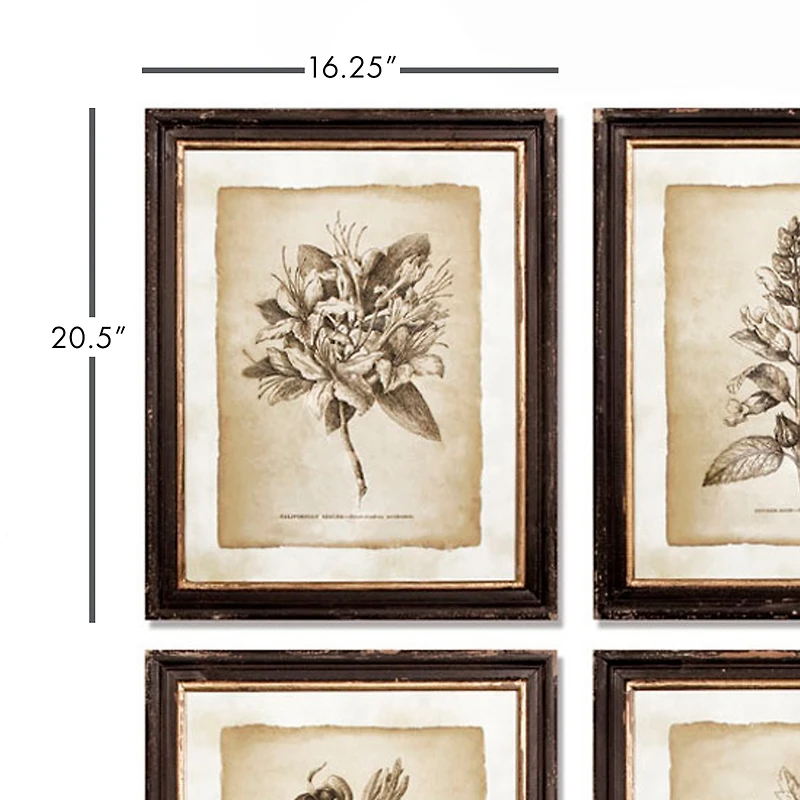 Framed Vintage like Floral Prints Set of 6