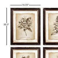 Framed Vintage like Floral Prints Set of 6