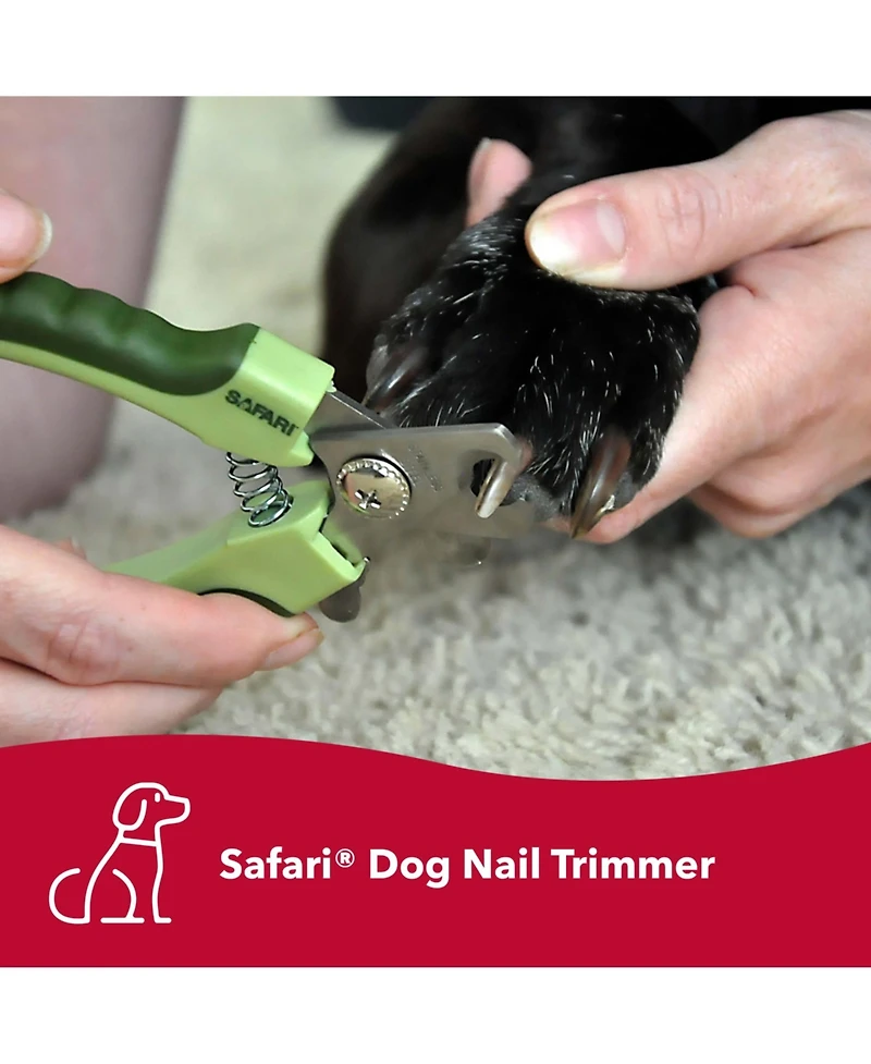 Coastal Pet Safari by Dog Grooming Bundle - Professional Dog Nail Trimmer & Curved Firm Slicker Dog Brush