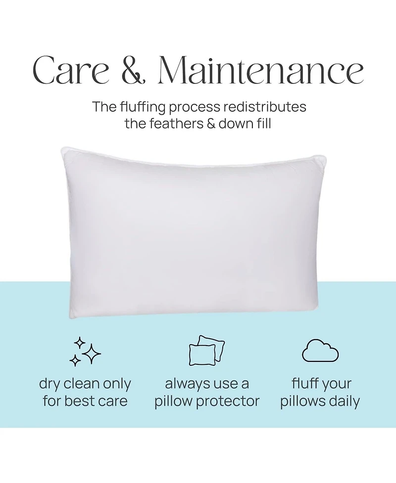 East Coast Bedding Elite European Down Dream Queen Pillow 800 Fill Power