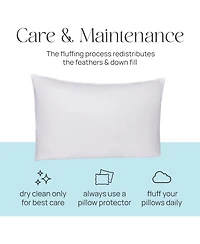 East Coast Bedding Elite European Down Dream Queen Pillow 800 Fill Power