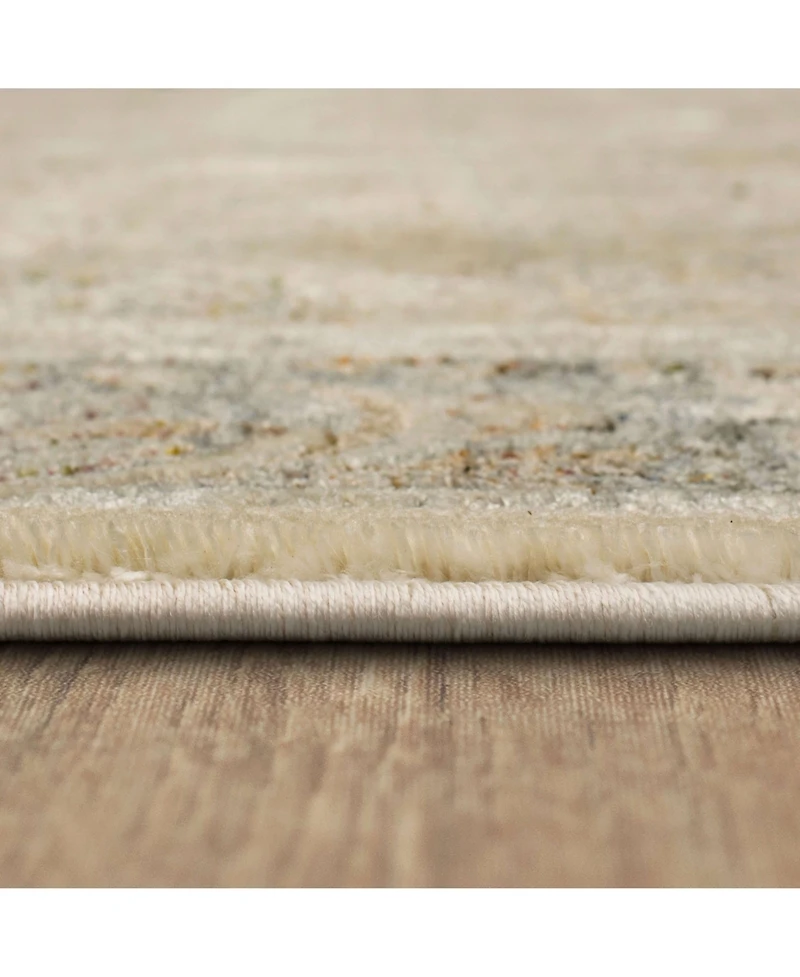 Karastan Divina Celestial 2'6" x 7'10" Runner Area Rug