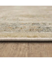 Karastan Divina Celestial 2'6" x 7'10" Runner Area Rug