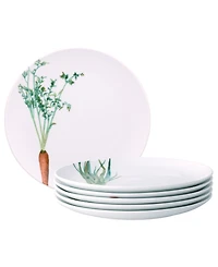 Noritake Kyoka Shunsai Assorted Salad Plates 9.5" Set/6
