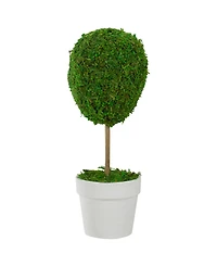 Northlight 14" Reindeer Moss Ball Potted Artificial Spring Topiary Tree