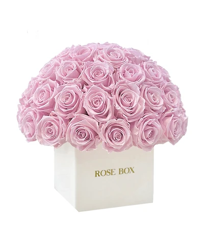 Rose Box Nyc Half Ball of Long Lasting Preserved Real Roses in Square Classic Ceramic Vase, 35 Roses