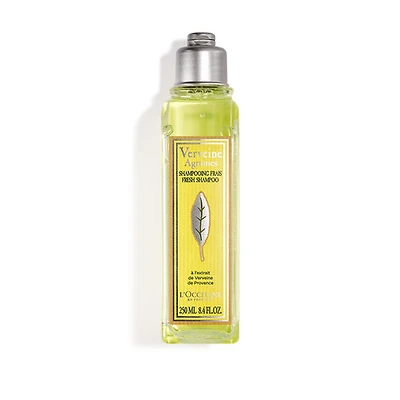 L'Occitane Citrus Verbena Fresh Shampoo 8.40 fl oz