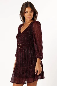 Glimmer Long Sleeve Mini Dress
