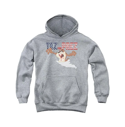 Looney Tunes Youth Taz For Prez 3 Pull Over Hoodie / Hooded Sweatshirt