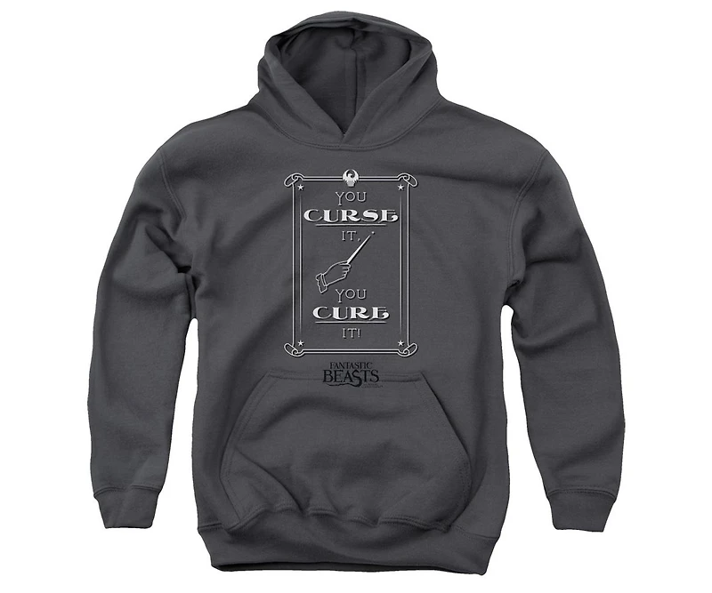 Fantastic Beasts Youth Curse It Pull Over Hoodie / Hooded Sweatshirt