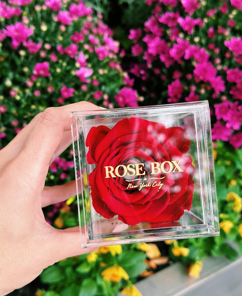 Rose Box Nyc Jewelry box of Red Wine Long Lasting Preserved Real Rose, 1 Rose