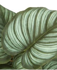 Monarch Specialties 13" Indoor Artificial Epipremnum Plants with Decorative Black Pots, Set Of 2