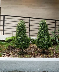 Nearly Natural 3ft. Uv Resistant Artificial Boxwood Plant with Integrated Ground Stake Indoor/Outdoor - Set of 2