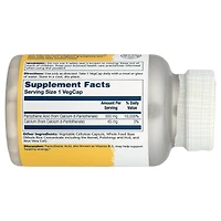 Solaray Pantothenic Acid - 100 VegCaps