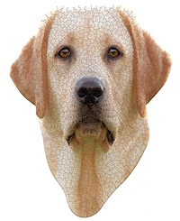 Madd Capp Games - I am Lab Jigsaw Puzzle