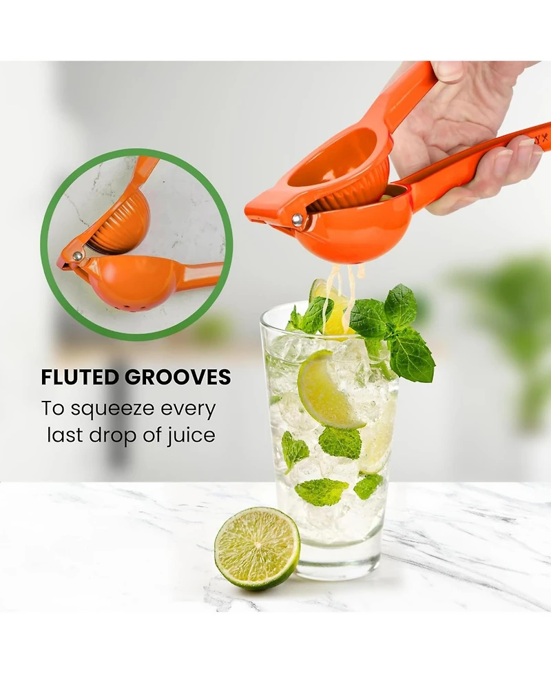 Premium Quality Metal Lemon Squeezer, Citrus Juicer, Manual Press