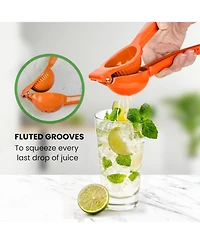 Premium Quality Metal Lemon Squeezer, Citrus Juicer, Manual Press