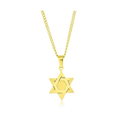 Stainless Steel Polished Star of David Necklace