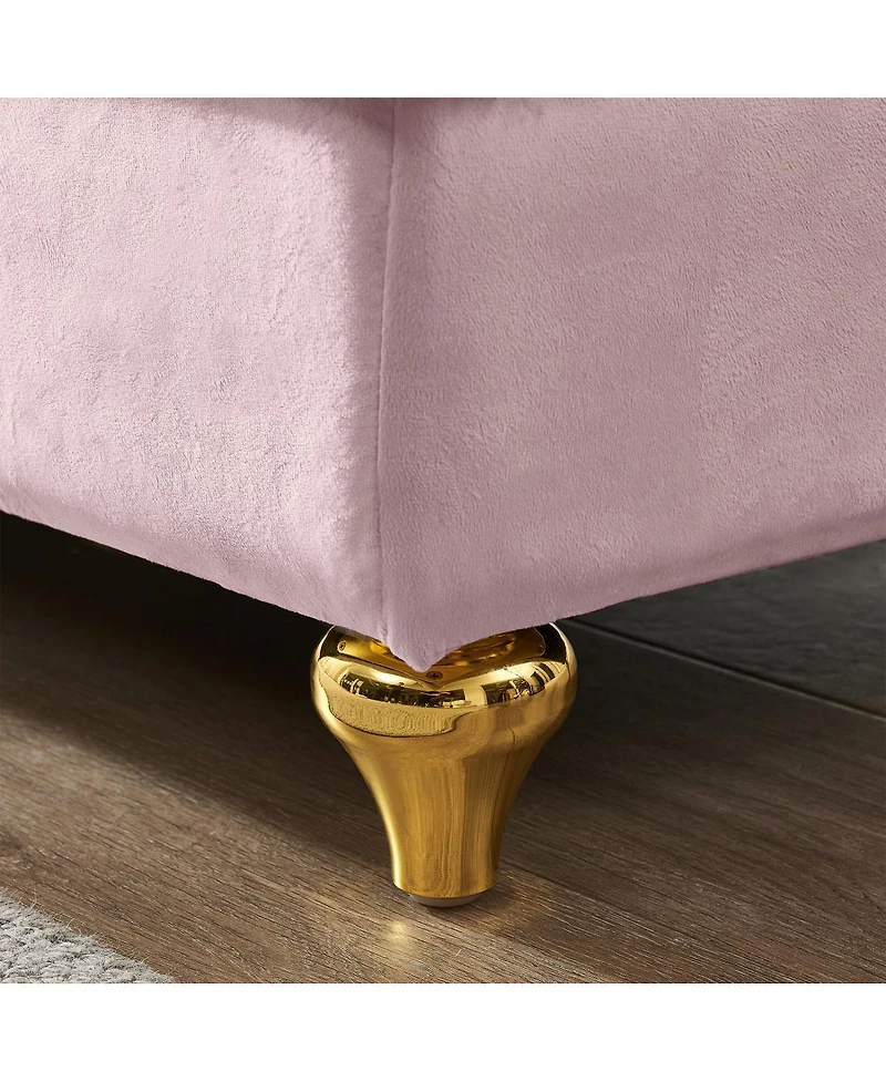 Simplie Fun Modern Upholstery Chaise Lounge Chair With Storage Velvet (Pink)