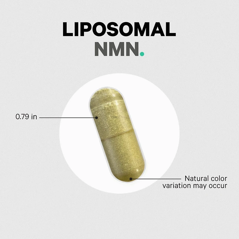Codeage Liposomal Nmn Supplement, Nad precursor, Resveratrol, Betaine, Riboflavin & B12, Quercetin, 90 ct