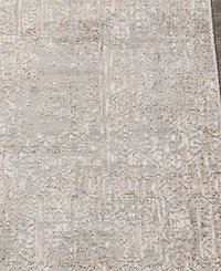 Livabliss Carmel Crl-2300 6'7x9'6 Area Rug