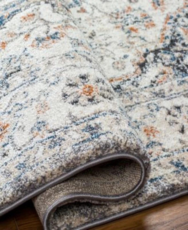 Livabliss Tuscany Tus 2339 Rug Collection