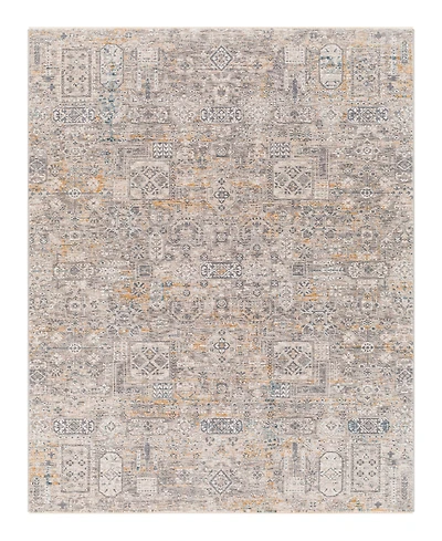 Livabliss Cardiff Cdf-2309 2'7x4' Area Rug