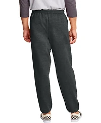 Hanes EcoSmart Men's 32" Fleece Sweatpants, 2-Pack