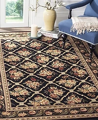 Safavieh Lyndhurst LNH556 8' x 11' Area Rug
