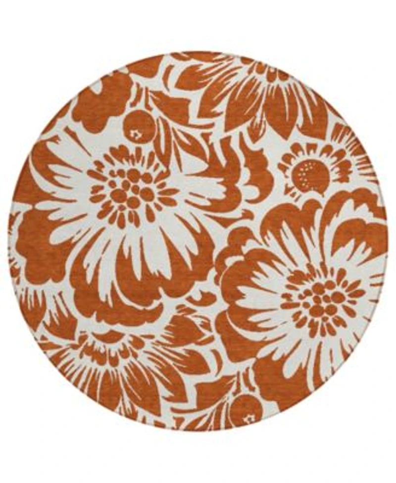Addison Chantille Machine Washable Acn551 Area Rug Collection